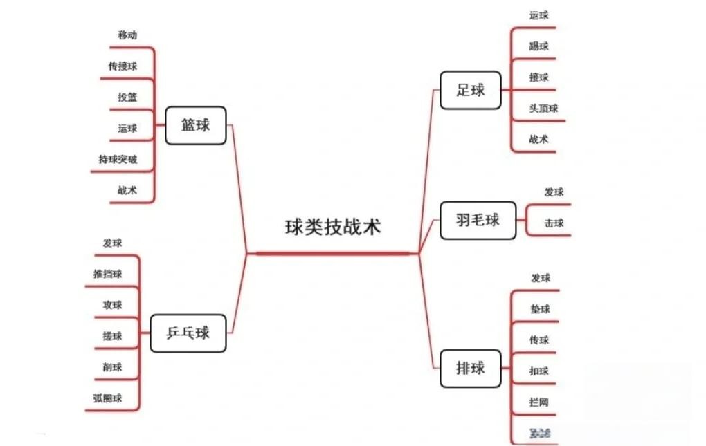为什么专业篮球品牌在训练中如此重要_1